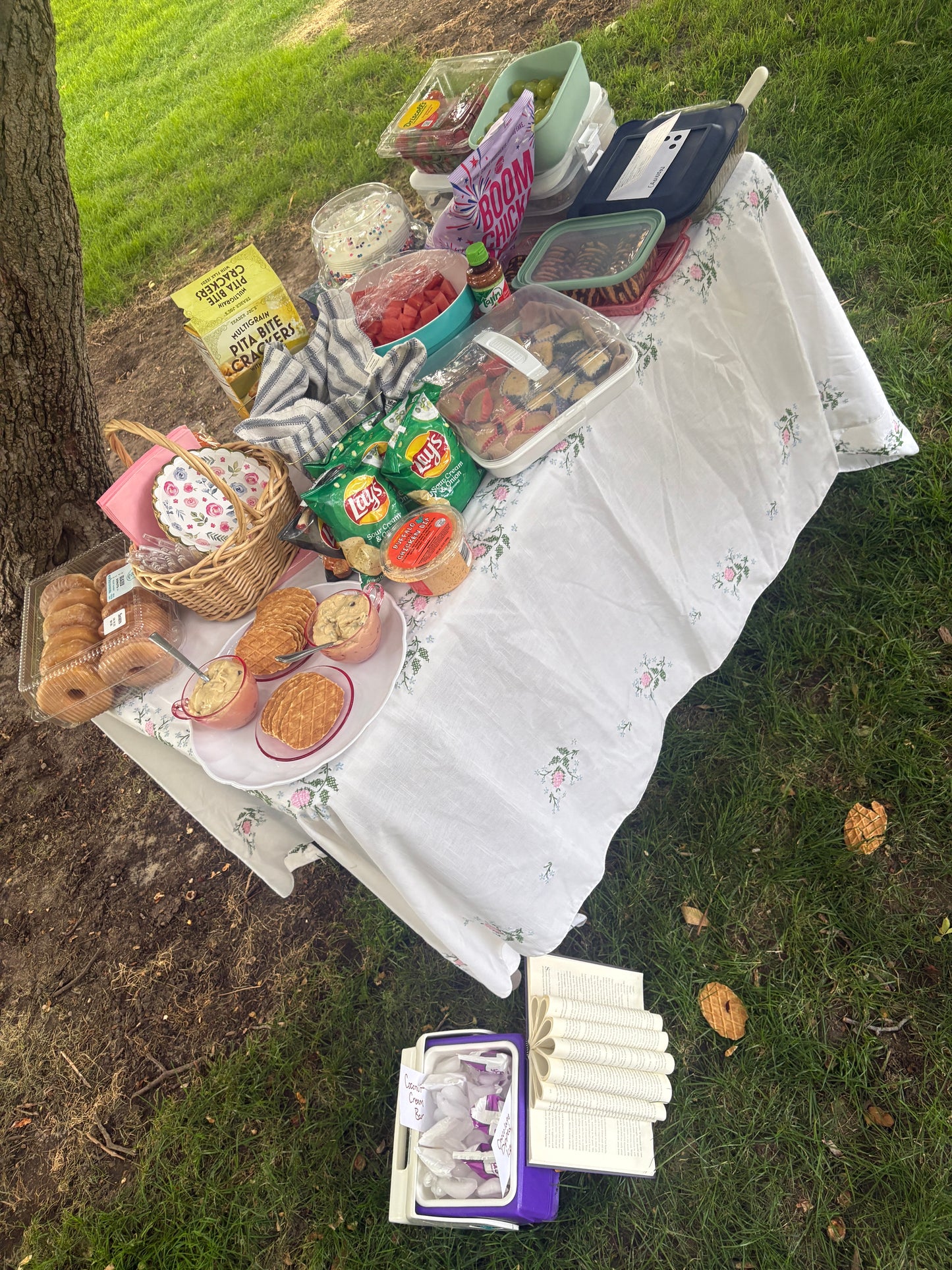 Book Besties Picnic